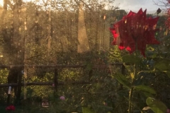 Particolare Patio riflessi